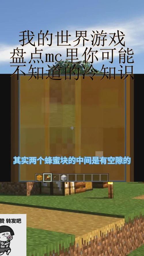 玩了我的世界这么久,这8个冷知识你绝对不知道!-1 玩了我的世界这么久,这8个冷知识你绝对不知道!-1