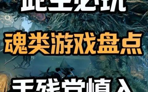 2026年十大魂Like游戏难度排名，哪款最劝退？